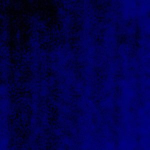 IMG_1006.jpeg