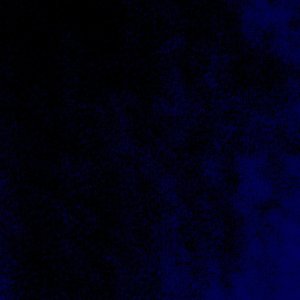 IMG_1007.jpeg