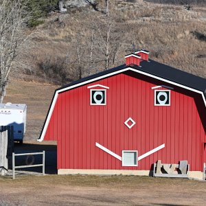HappyBarn_n1018.jpg