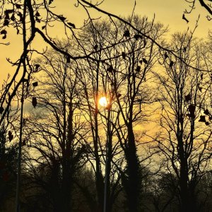 IMG_5062.jpeg
