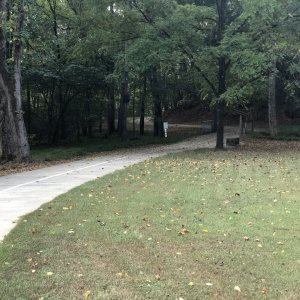 IMG_1922.jpeg