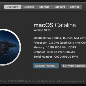 Screen Shot 2019-10-07 at 12.33.44 PM.png