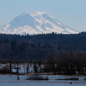 IMG_2728.jpg