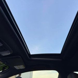 IMG_2924.jpeg