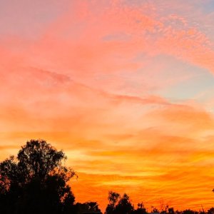 IMG_1733a.jpg