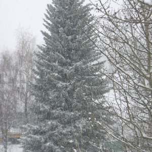 130217_o1.jpg