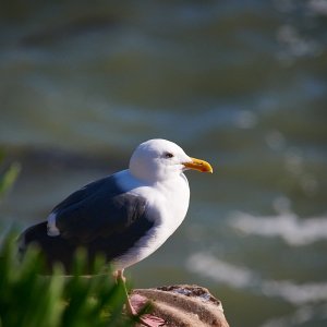 DSC_1449.jpg