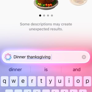 Screenshot 2024-12-15 at 1.53.05 PM.jpeg