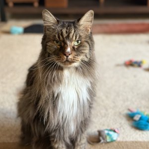 IMG_0327.jpeg