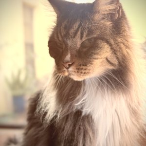 IMG_0328.jpeg
