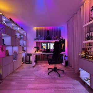 Homeoffice - 2.jpeg