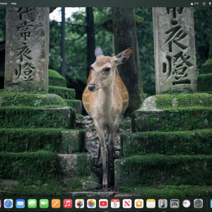 Screenshot 2025-01-05 at 10.46.38 pm 2.png