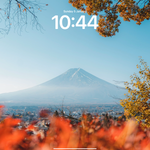 IMG_0098.PNG