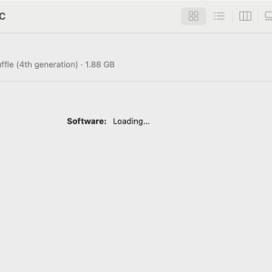 iPod screenshot.png