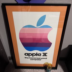 IMG_3917.jpeg
