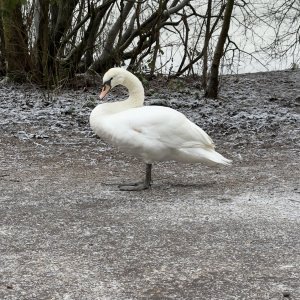 IMG_9495.jpeg