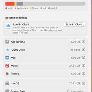 Screenshot 2025-01-18 at 11.04.26 AM.png