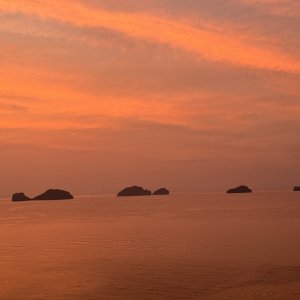 IMG_3071.jpeg