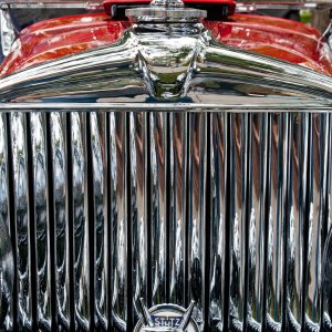 DSC_8479a.jpg