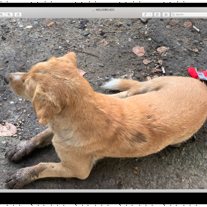 Screen Shot 2019-10-09 at 2.20.30 PM.png