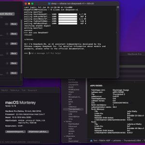 DeepSeek test with MBP 2014.jpg