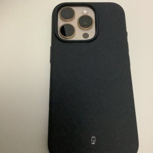 IMG_0385.jpeg