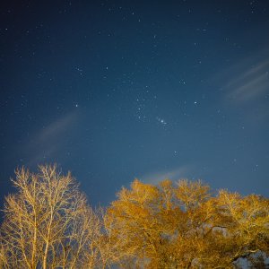 IMG_4070.jpeg