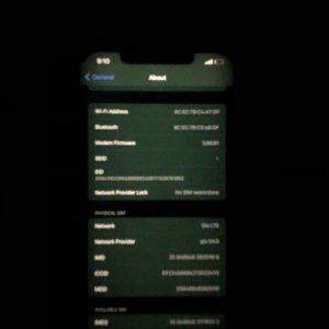 IMG_0013.jpeg