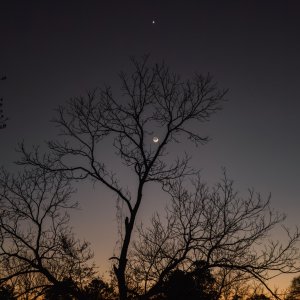 IMG_4077.jpeg