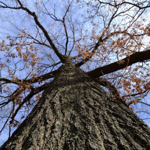 DSCF0872.jpg