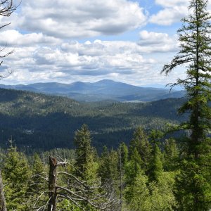 DSC_0188.jpg