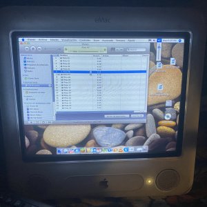IMG_3268.jpeg