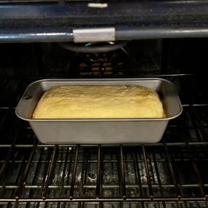 IMG_0707.jpg