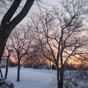 DSCF0978 1.jpg