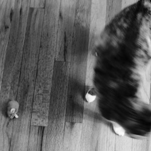 DSCF0917.jpg