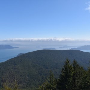 DSC_1491.jpg