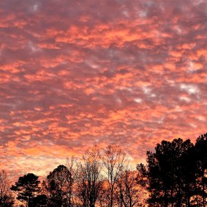 Sunset 1-10-2023.jpg