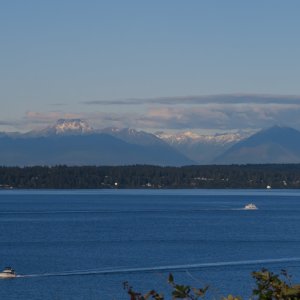 IMG_3473.jpg