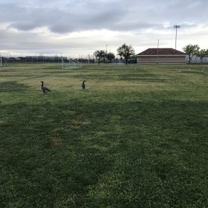IMG_3292.jpeg