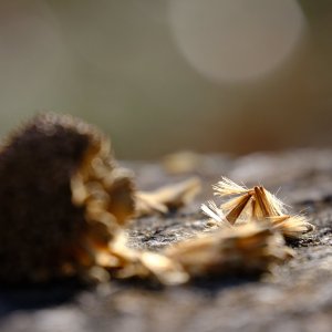 DSCF1080.jpg