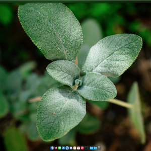 Screenshot 2025-03-01 at 21.26.15.png