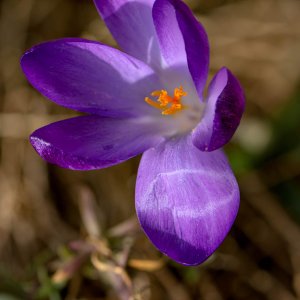 _Z633831-Edit.jpg