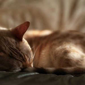 IMG_1732.jpeg
