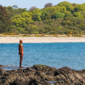 SaddellBay20170509.jpg
