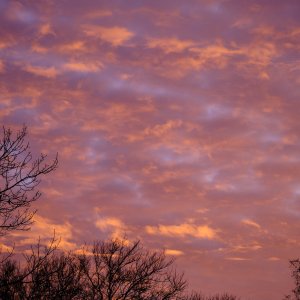 DSCF1104.jpg