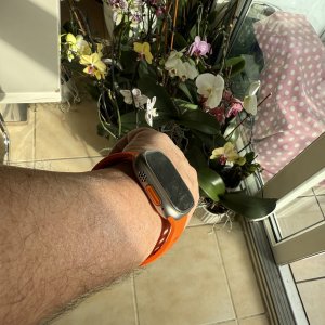 IMG_0451.jpeg