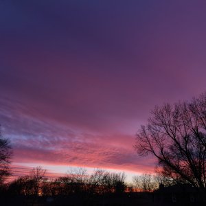 DSCF1107.jpg