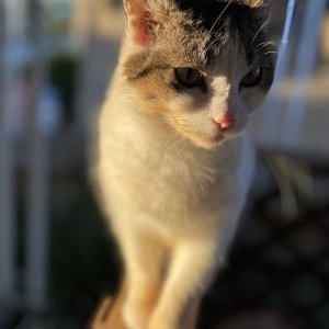 IMG_3746.jpeg