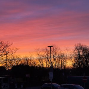 IMG_9734.jpeg