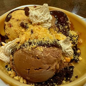 IMG_3137.jpeg
